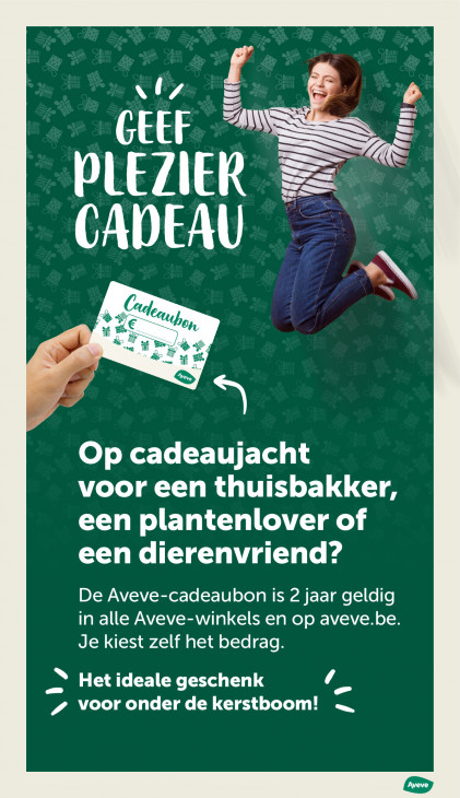 AVEVE Folder 10.12.2025