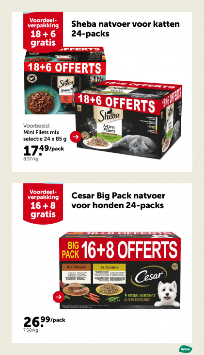 AVEVE Folder 10.12.2025