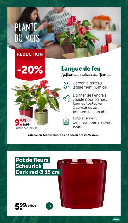 AVEVE Dépliant 10.12.2025