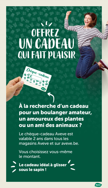 AVEVE Dépliant 10.12.2025