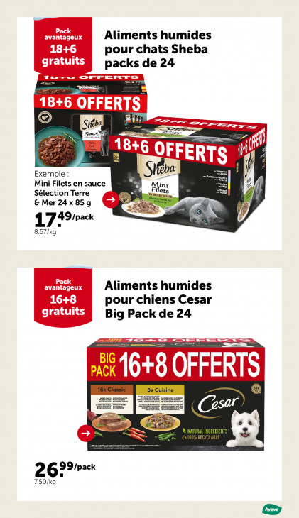 AVEVE Dépliant 10.12.2025