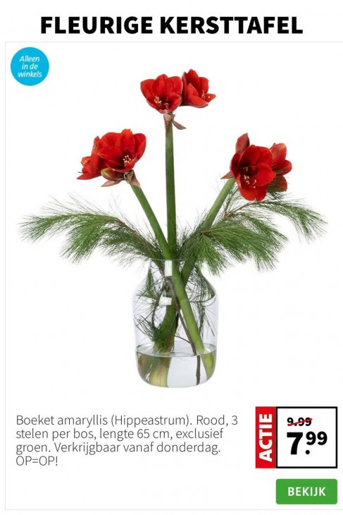 Intratuin Folder 15.12.2025