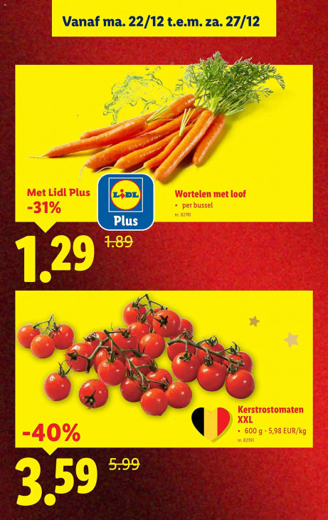 Lidl Folder 22.12.2025