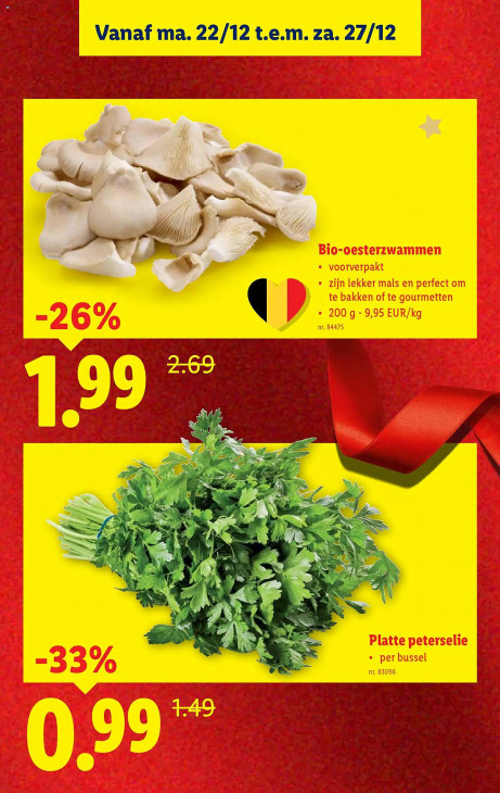 Lidl Folder 22.12.2025