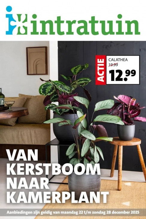 Intratuin Folder 22.12.2025