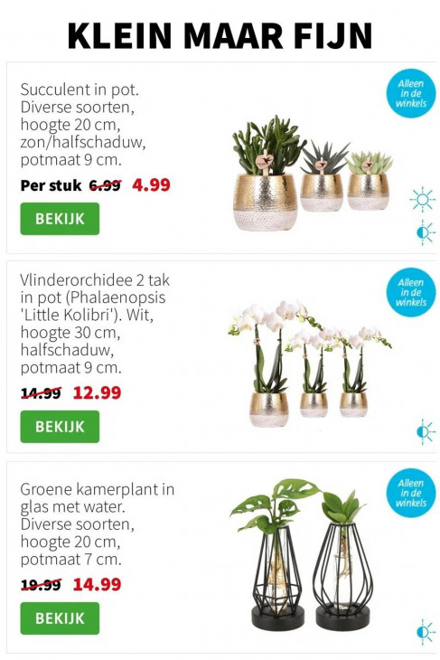 Intratuin Folder 22.12.2025