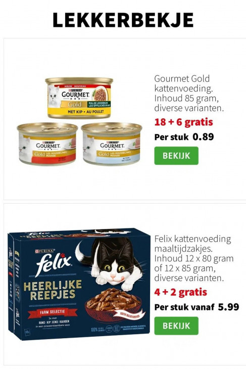 Intratuin Folder 22.12.2025