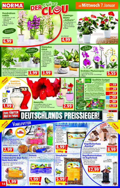 Norma - woche-2-ab-05-01-2026-bis-10-01-2026-seite-14-rzjkd