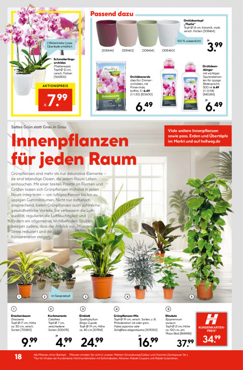 Hellweg Baumarkt Angebote ab 29.12.25 bis 03.01.26