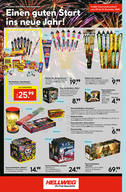 Hellweg Baumarkt Angebote ab 29.12.25 bis 03.01.26