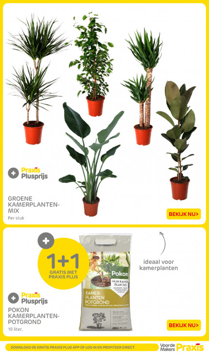 Praxis Folder 29.12.2025