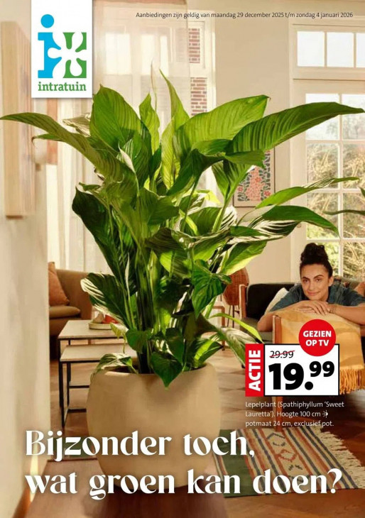 Intratuin Folder 29.12.2025