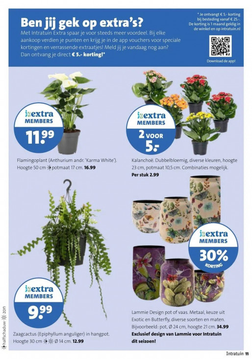 Intratuin Folder 29.12.2025