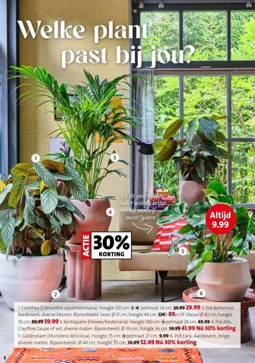 Intratuin Folder 29.12.2025