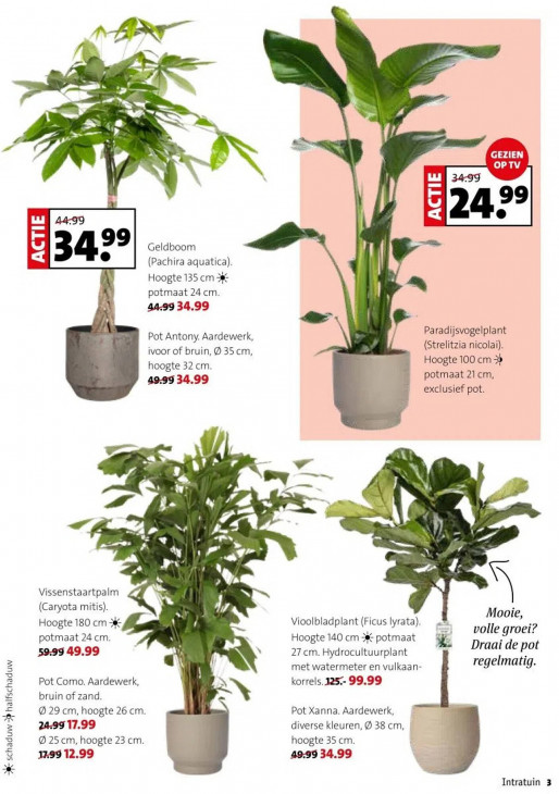 Intratuin Folder 29.12.2025