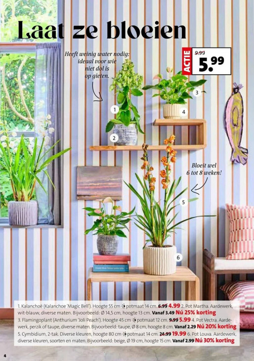 Intratuin Folder 29.12.2025