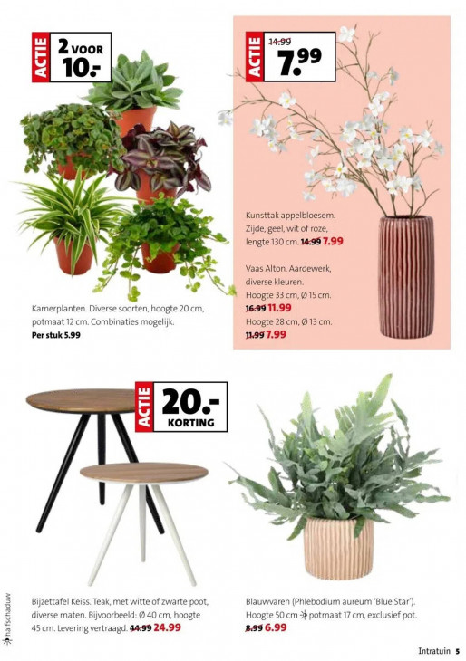 Intratuin Folder 29.12.2025