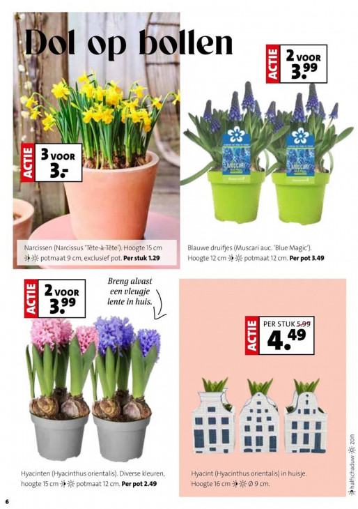 Intratuin Folder 29.12.2025