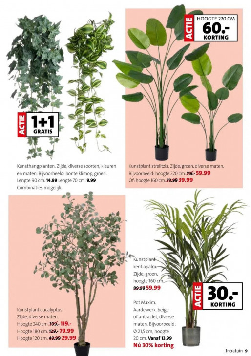 Intratuin Folder 29.12.2025