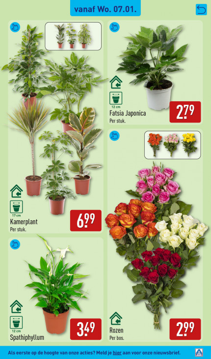 Aldi Folder 05.01.2026