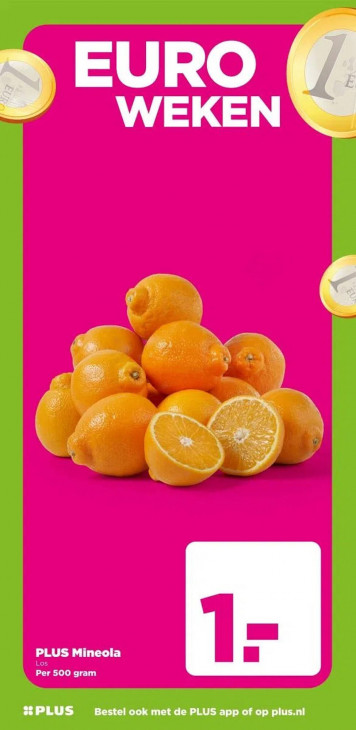 PLUS Folder 07.01.2026