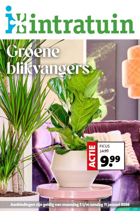 Intratuin Folder 05.01.2026