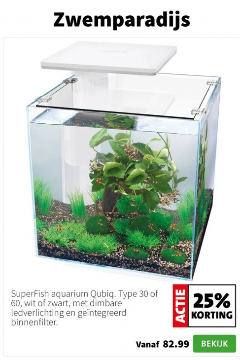 Intratuin Folder 05.01.2026