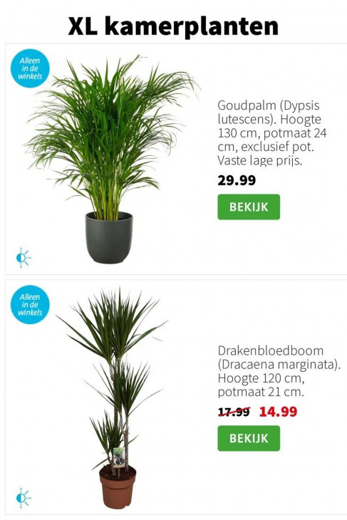 Intratuin Folder 05.01.2026