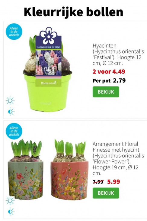 Intratuin Folder 05.01.2026