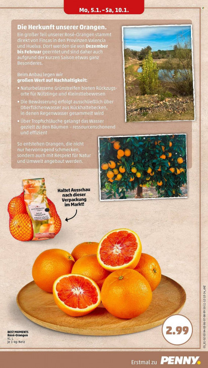 Penny Angebote ab 05.01.26 bis 10.01.26