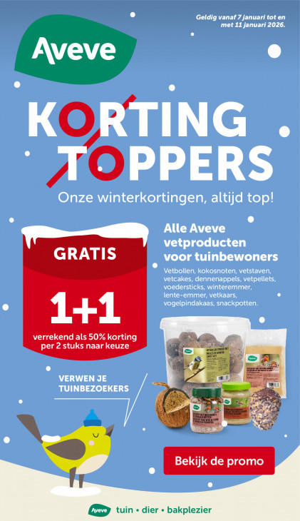 AVEVE Folder 07.01.2026