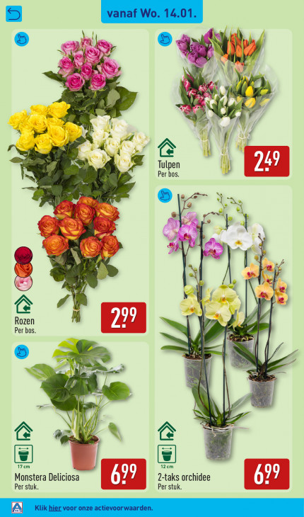 Aldi Folder 12.01.2026