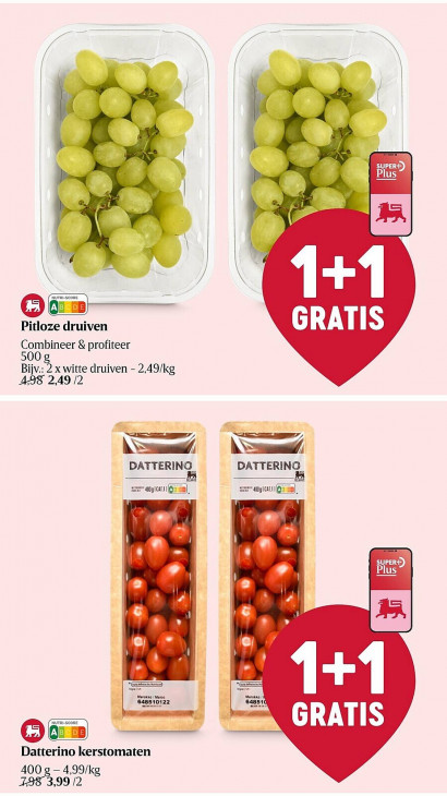 Delhaize Folder 08.01.2026