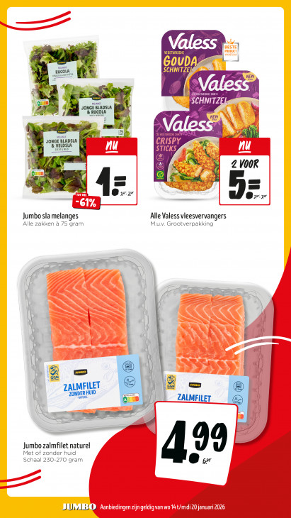 Jumbo Folder 14.01.2026