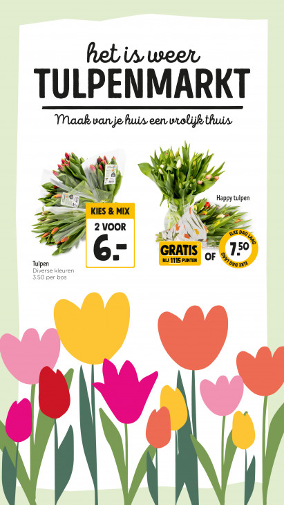 Jumbo Folder 14.01.2026