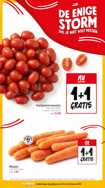 Jumbo Folder 14.01.2026