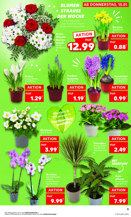Kaufland - woche-3-ab-15-01-2026-bis-21-01-2026-seite-5-aaygv