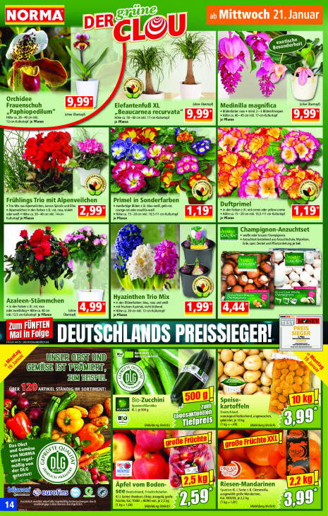 Norma - woche-4-ab-19-01-2026-bis-24-01-2026-seite-14-jdjgq