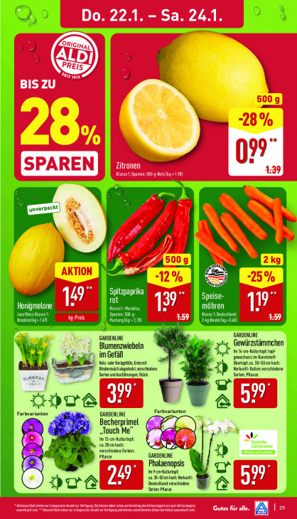 Aldi Nord Angebote ab 19.01.26 bis 24.01.26