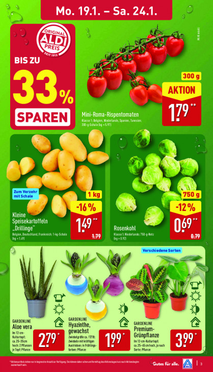 Aldi Nord - woche-4-ab-19-01-2026-bis-24-01-2026-seite-3-kdewp