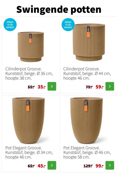 Intratuin Folder 12.01.2026