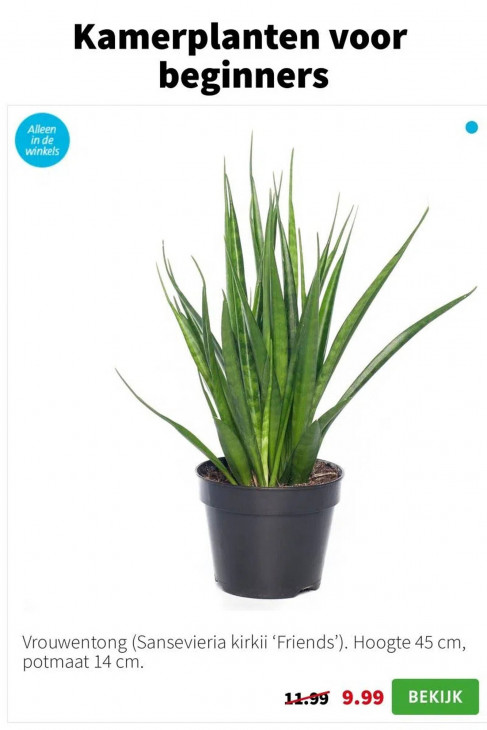 Intratuin Folder 12.01.2026