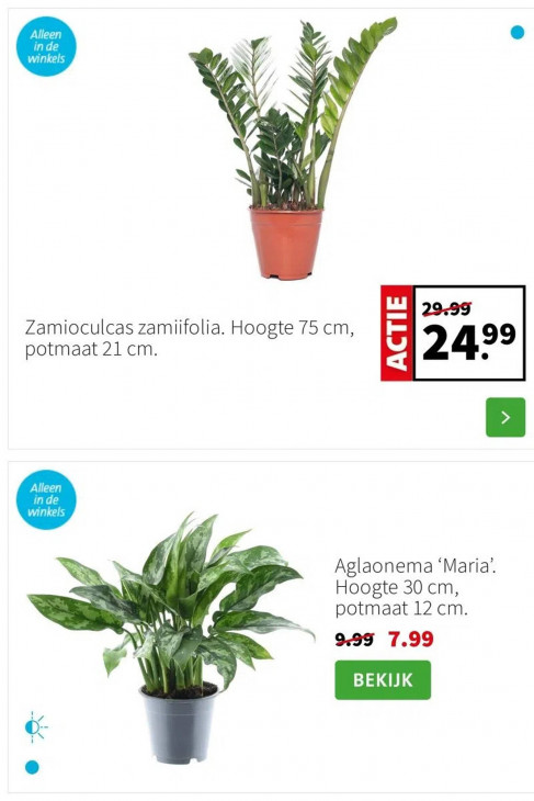 Intratuin Folder 12.01.2026