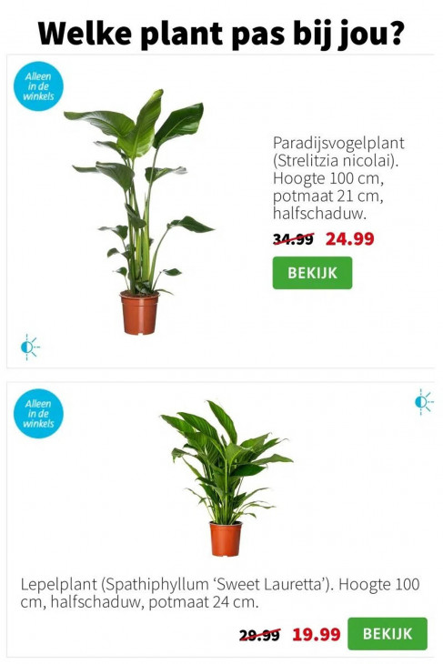 Intratuin Folder 12.01.2026