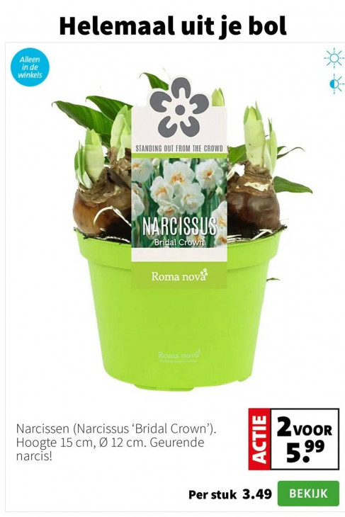 Intratuin Folder 12.01.2026