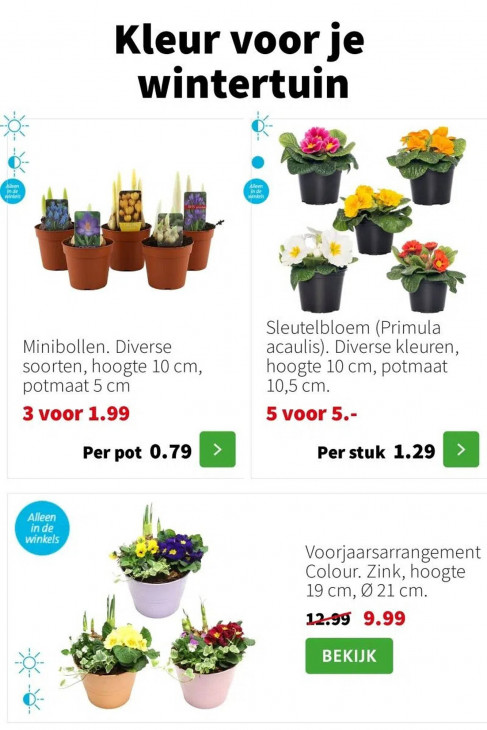 Intratuin Folder 12.01.2026