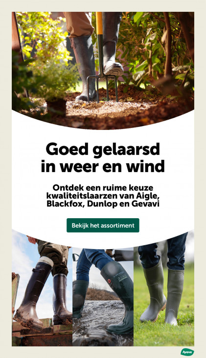 AVEVE Folder 14.01.2026