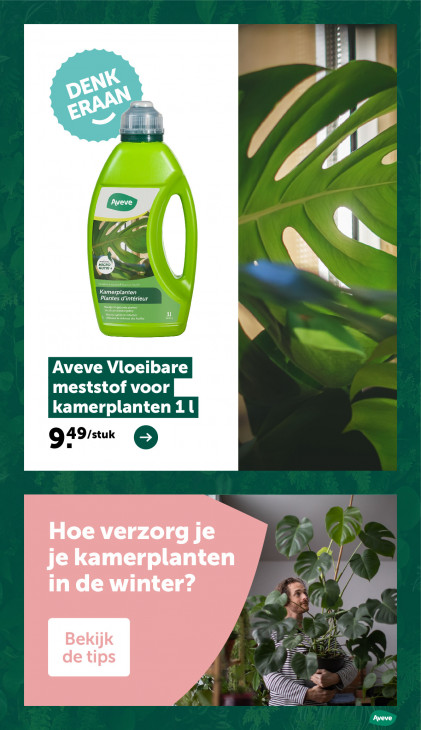 AVEVE Folder 14.01.2026