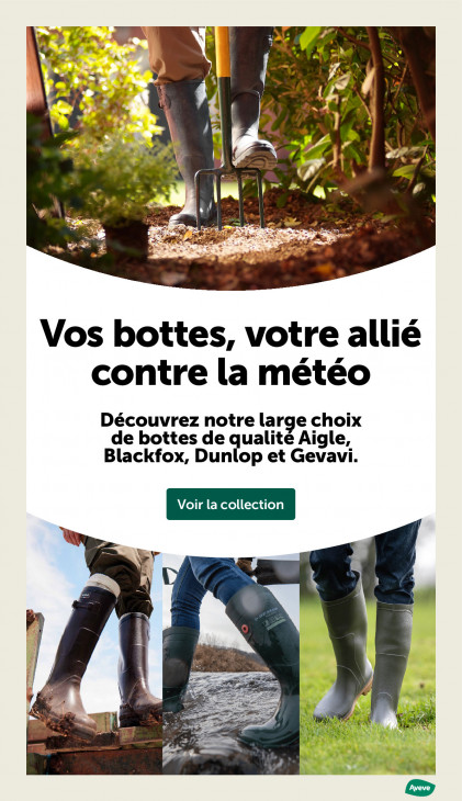 AVEVE Dépliant 14.01.2026