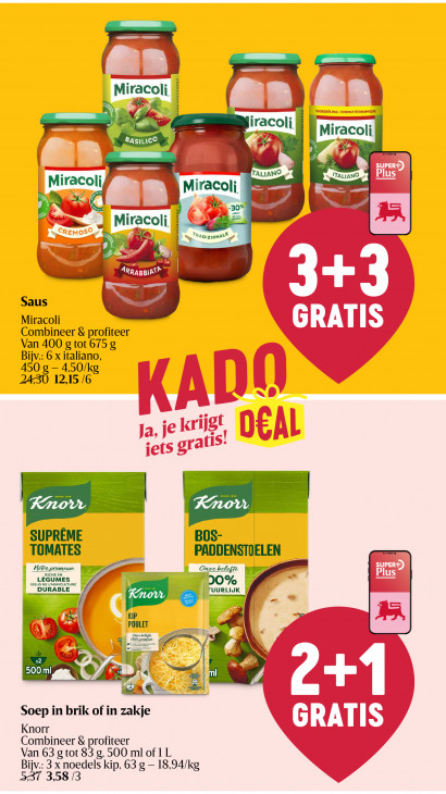 Delhaize Folder 15.01.2026